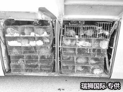 集裝箱的類型 集裝箱的種類 集裝箱用途 集裝箱規(guī)格 集裝箱箱型尺寸對(duì)照表、集裝箱尺寸表、集裝箱規(guī)格有幾種尺寸